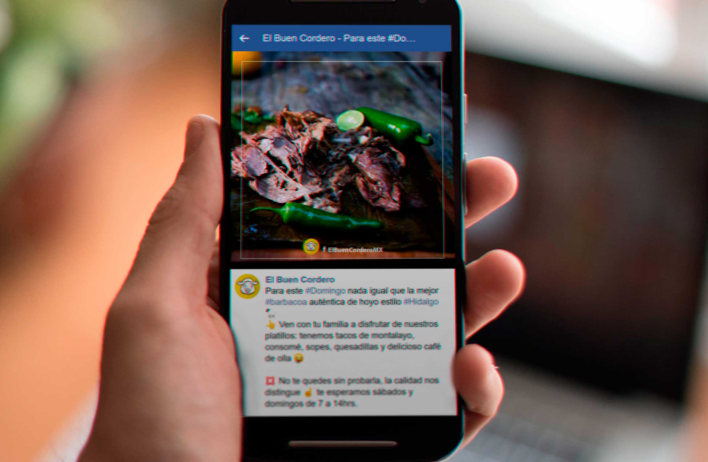 Agencia publicidad diseño gráfico social media administración redes sociales restaurante El Buen Cordero